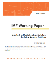 Uncertainty and Public Investment Multipliers:  The Role of Economic Confidence